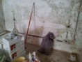 /album/galeria/a2011-07-13-12-42-46-jpg/